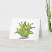 Grußkarte Aeonium Karte (Rückseite)