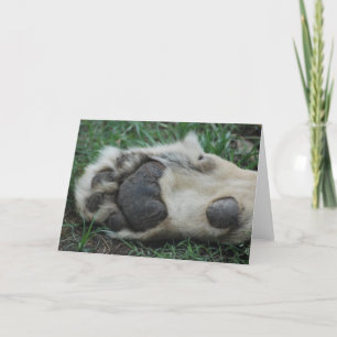 Grußkarte "African Lion Paw" Karte