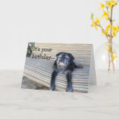 Grußkarte: Alles Gute zum Geburtstag/nah Ihre Karte (Gelbe Blume)