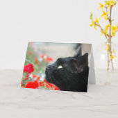 Grußkarte - Ansehen Karte (Gelbe Blume)