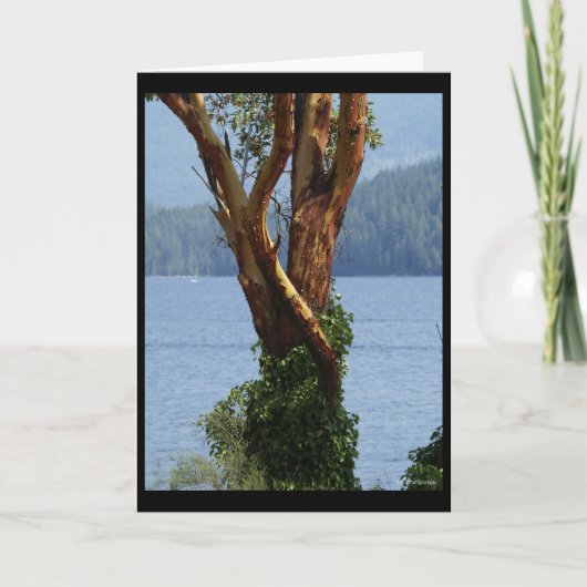 Grußkarte "Arbutus Tree" Karte (Vorderseite)