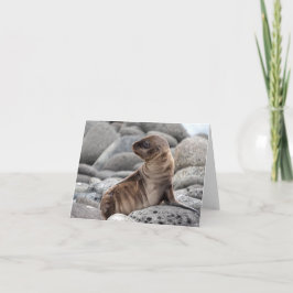Grußkarte Baby-Seelöwe Karte