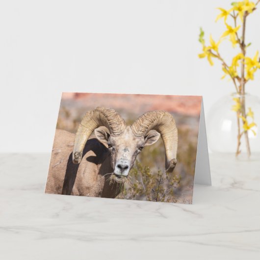 Grußkarte Bighorine Sheep Masculine Karte (Gelbe Blume)