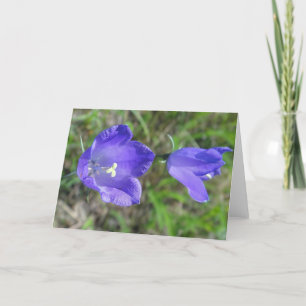 Grußkarte blaues Paar Blumen, in Leerzeichen Karte