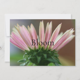 Grußkarte Bloom Lifestyle Karte