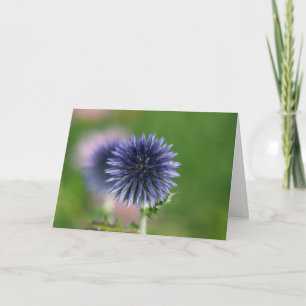 Grußkarte - Blue Globe Thistle Karte