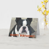 Grußkarte Bostons Terrier Karte (Gelbe Blume)