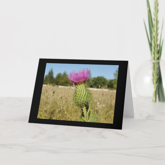 Grußkarte Burdock Thistle Karte (Vorderseite)