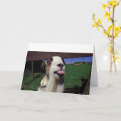 Grußkarte Cheeky Goat Karte (Gelbe Blume)