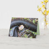 Grußkarte Cottonmouth / Water Moccassin Karte (Gelbe Blume)