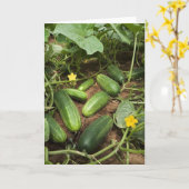 Grußkarte Cucumber Patch Karte (Gelbe Blume)