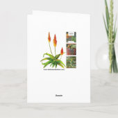 Grußkarte Dankeskarte (Rückseite)