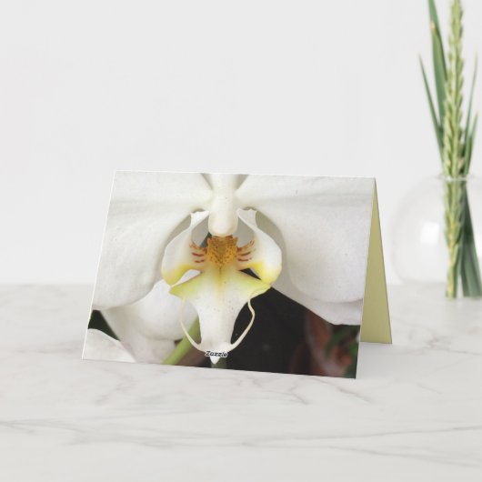 Grußkarte Dankeskarte (Rückseite)