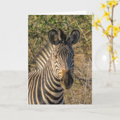 Grußkarte - Das Gesicht eines Zebra Karte (Gelbe Blume)