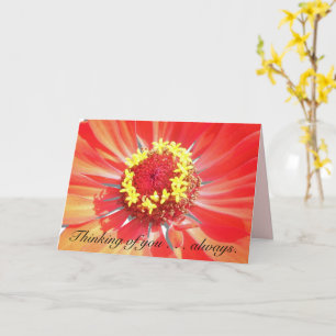 Grußkarte - Denken Sie an Sie - Rotes Zinnia Karte