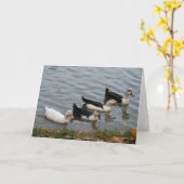 Grußkarte der Enten in Folge Karte (Gelbe Blume)