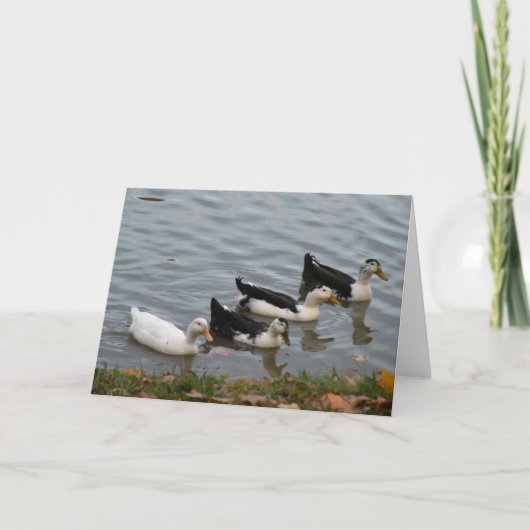 Grußkarte der Enten in Folge Karte (Vorderseite)