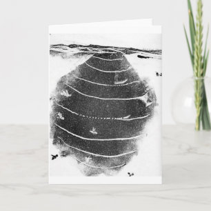 Grußkarte der Natur Karte