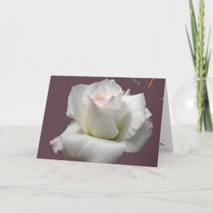 Grußkarte der White Passion Rose Karte