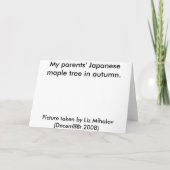 Grußkarte des japanischen Ahorns Karte (Rückseite)