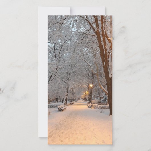 Grußkarte des Schneewinterparks Feiertagskarte (Vorderseite)