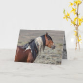 Grußkarte des Stallion-Wild-Pferdes mit stumpfen F Karte (Gelbe Blume)