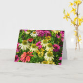 Grußkarte - Echinacea in Portsmouth Karte (Gelbe Blume)