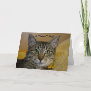 Grußkarte: Es war nicht ich Katze 2 Karte
