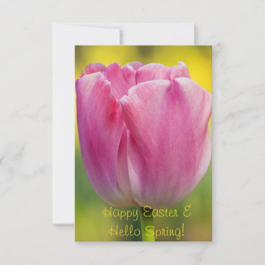 Grußkarte Federpink Tulip Karte (Vorderseite)