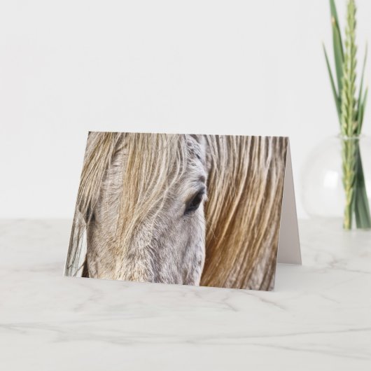 Grußkarte Feiertagskarte (Vorderseite)