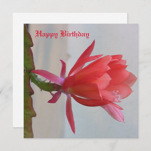 Grußkarte Feiertagskarte (Vorne/Hinten)