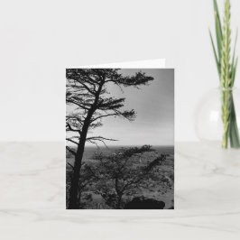 Grußkarte Forest Nature Landschaftsbild Foto Karte