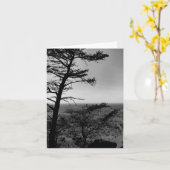 Grußkarte Forest Nature Landschaftsbild Foto Karte (Gelbe Blume)