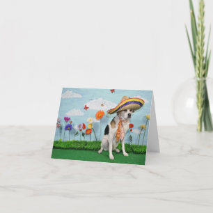Grußkarte, Foto des Hundes im Sombrero Dankeskarte