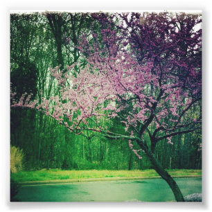 Grußkarte Fotodruck