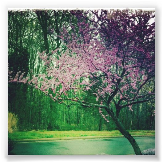 Grußkarte Fotodruck (Vorne)