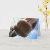 Grußkarte "Funny Horse" Karte (Gelbe Blume)