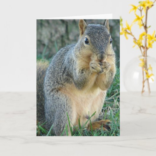 Grußkarte für adorable Eichhörnchen-Jeden Anlaß Karte (Gelbe Blume)