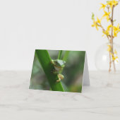 Grußkarte für Baum Frog Freundschaft Karte (Gelbe Blume)