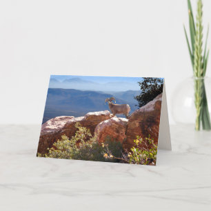 Grußkarte für Bergziegen Karte