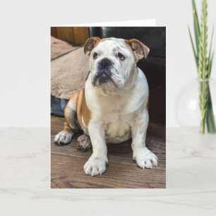 Grußkarte für Bulldog Karte