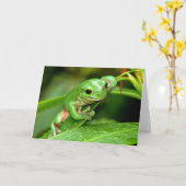 Grußkarte für das australische Green Tree Frog Fot Karte (Gelbe Blume)