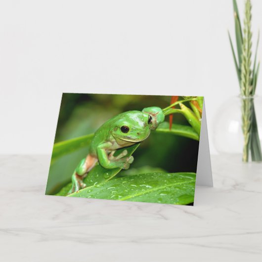 Grußkarte für das australische Green Tree Frog Fot Karte (Vorderseite)