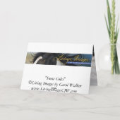 Grußkarte für das wilde Pferd Snow Colts Karte (Rückseite)