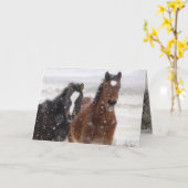 Grußkarte für das wilde Pferd Snow Colts Karte (Gelbe Blume)