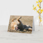 Grußkarte für den deutschen Schäferhund Karte (Gelbe Blume)