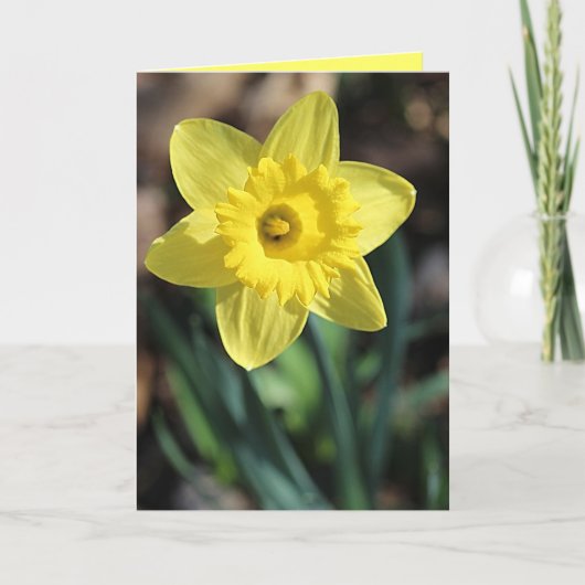 Grußkarte für den Frühling! Karte (Vorderseite)