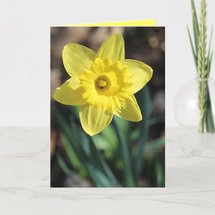 Grußkarte für den Frühling! Karte
