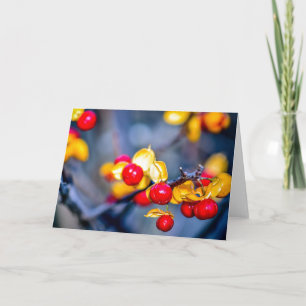 Grußkarte für den Herbst Rotes Berry und Gelbes Le Karte