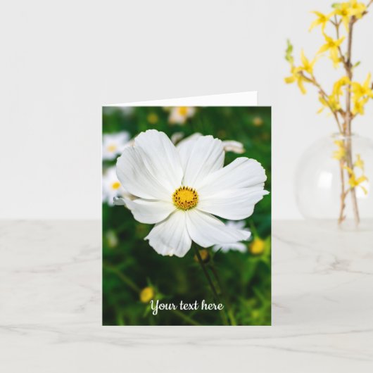 Grußkarte für den weißen Kosmos Karte (Gelbe Blume)